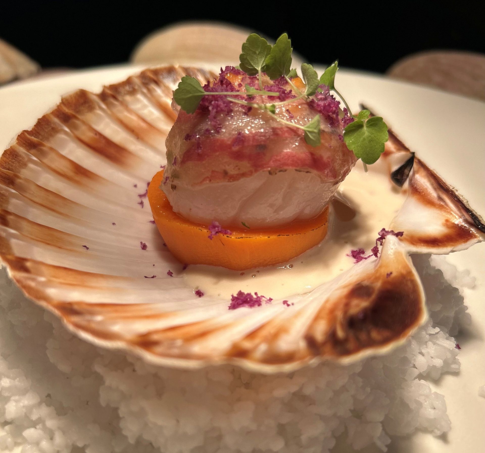 Campagne Royale 4 plats 85€ & Campagne Rymska 5 plats 99 €